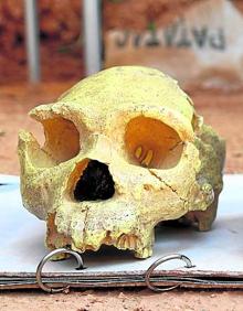 Imagen secundaria 2 - Un grupo de visitantes atiende las explicaciones del monitor. A la derecha, réplica de un cráneo hallado en Atapuerca.