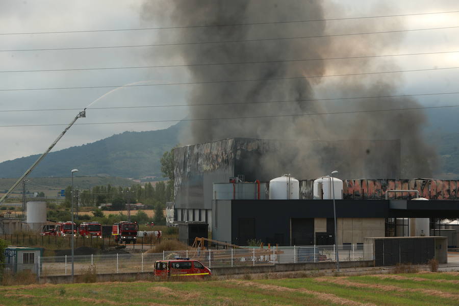 Fotos: Incendio en la planta de la quesería Aldanondo en Salvatierra