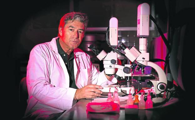 Experto. Luis Monje, en su laboratorio de la Universidad de Alcalá de Henares, donde dirige un posgrado especializado en fotografía científica.