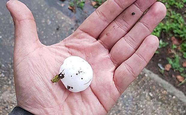 Imagen de las bolas de granizo que han caído en Galdakao.