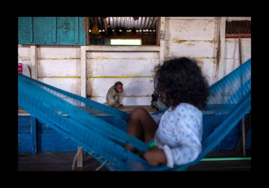 Científicos investigan sobre delfines de río en la Reserva de Desarrollo Sostenible Mamiragua en el estado de Amazonas, Brasil.