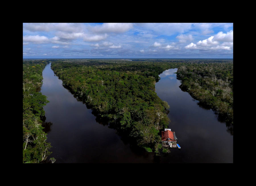 Científicos investigan sobre delfines de río en la Reserva de Desarrollo Sostenible Mamiragua en el estado de Amazonas, Brasil.