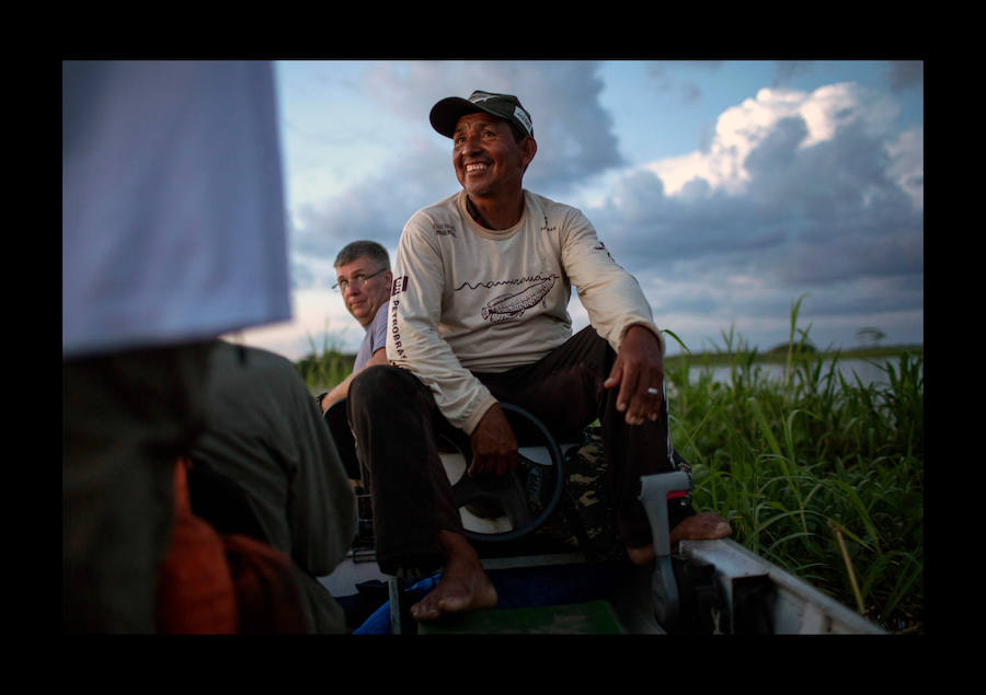 Científicos investigan sobre delfines de río en la Reserva de Desarrollo Sostenible Mamiragua en el estado de Amazonas, Brasil.