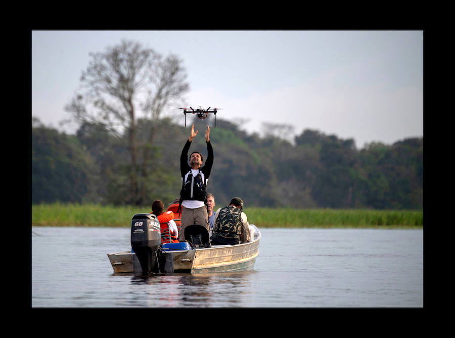 Científicos investigan sobre delfines de río en la Reserva de Desarrollo Sostenible Mamiragua en el estado de Amazonas, Brasil.