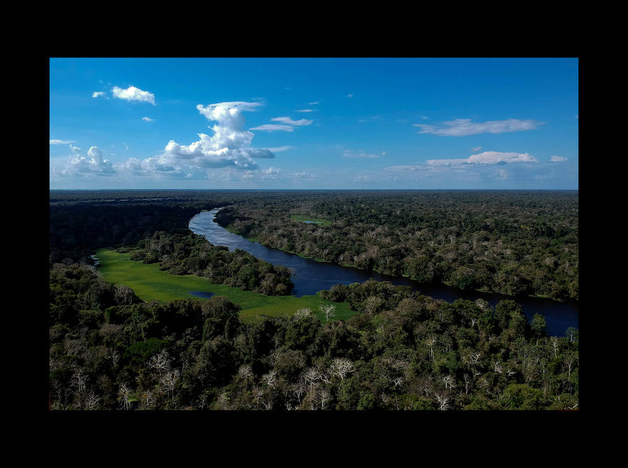 Científicos investigan sobre delfines de río en la Reserva de Desarrollo Sostenible Mamiragua en el estado de Amazonas, Brasil.