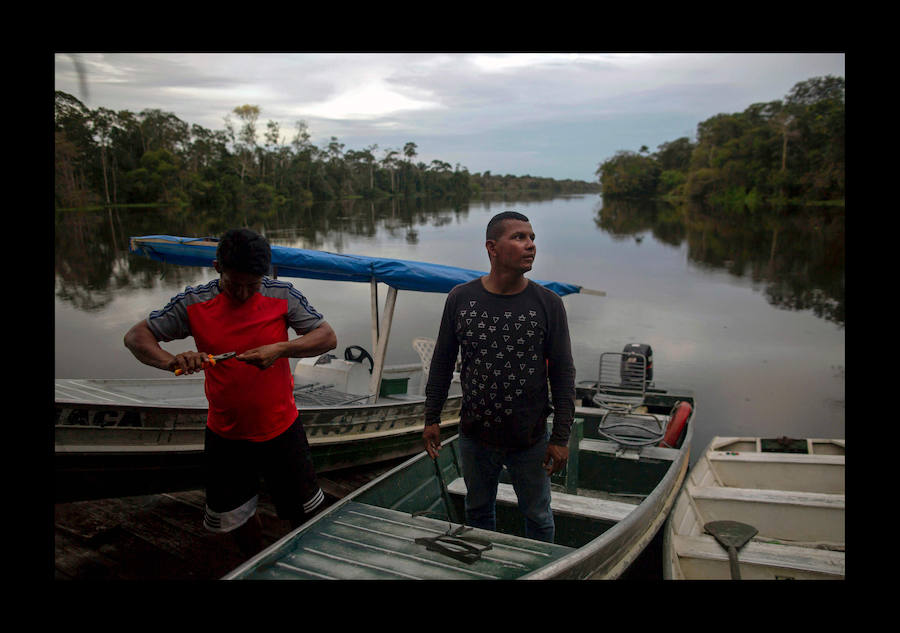 Científicos investigan sobre delfines de río en la Reserva de Desarrollo Sostenible Mamiragua en el estado de Amazonas, Brasil.