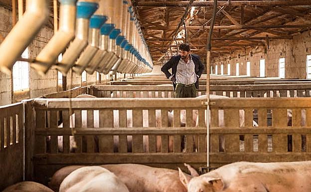 Antonio Garrido, en una escena de 'Matadero'.