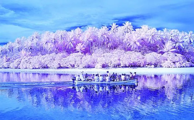 La artista ha retratado un paraíso tropical donde la vegetación es rosa pálido, el mar gris y las personas, en blanco y negro.