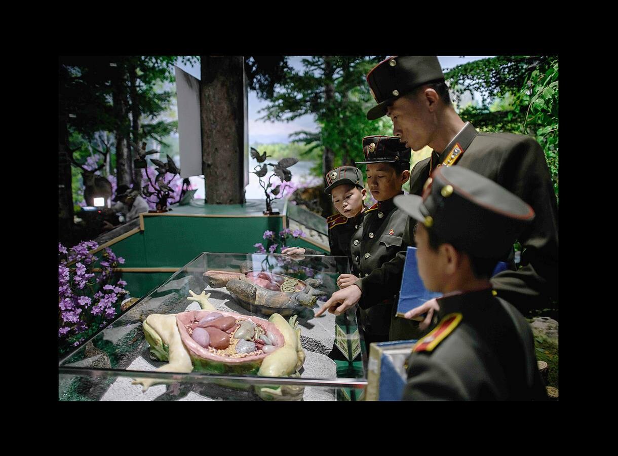 No muchas escuelas tienen aulas equipadas con tanques o simuladores de aviones de caza. La Escuela Revolucionaria Mangyongdae de Corea del Norte no es una institución ordinaria. Fue creada por el fundador del país, Kim Il Sung, para educar a los huérfanos de la guerra contra el gobierno colonial japonés y se ha convertido en un centro que une a la élite gobernante. Unos 1.000 niños con las cabezas rapadas, vestidos de uniforme militar con una línea roja en los pantalones que simboliza su devoción a la causa, ocupan sus clases. Son los escogidos, hijos e hijas de los patriotas que lucharon por el partido, el gobierno y el país; una élite cerrada y hereditaria.