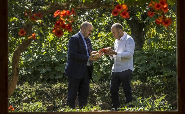 Tras el ventanal del comedor, enmarcado por un gran hibisco, Carlos e Ignacio Echapresto huelen tomates de su huerta.