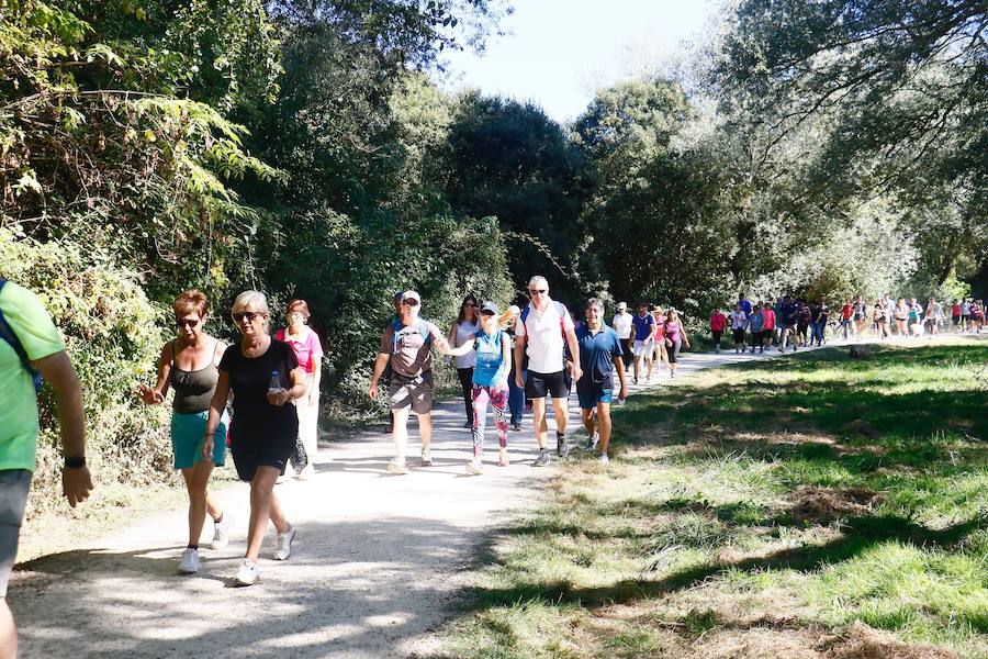 Fotos: La fotos de la VII Marche Solidaria Green de EL CORREO