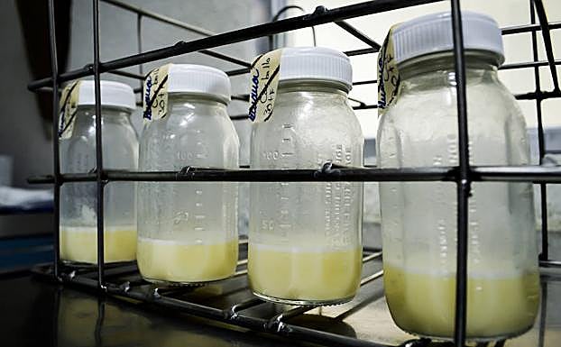 Euskadiko esne-bankuak 370 litro esne inguru bildu ditu lehen urtean