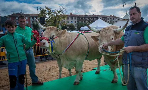 La vaca de Jon Koldo Bikandi y el toro de Rufino Jaio, de la explotación de Abendibar, fueron galardonados ayer en Iurreta. :: 