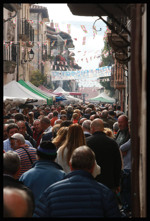 Fotos: La feria de Salvatierra, en imágenes