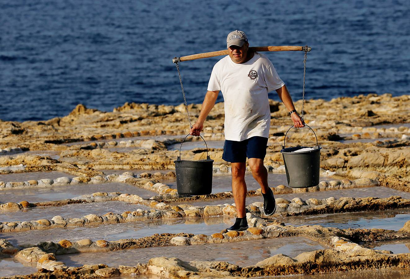 Zebbug, en la isla de Gozo, en Malta, es una pequeña localidad famosa por sus finos encajes; por los olivos, que le dieron el nombre, y por la sal. A ella se dedican numerosos habitantes que, como Josephine Xuereb y Rosa Cini (en las fotos), la tratan y almacenan en salinas excavadas en roca y en paneles de evaporación, que se extienden a lo largo de la costa, de la misma forma que hicieron otras generaciones desde hace más de 350 años. 