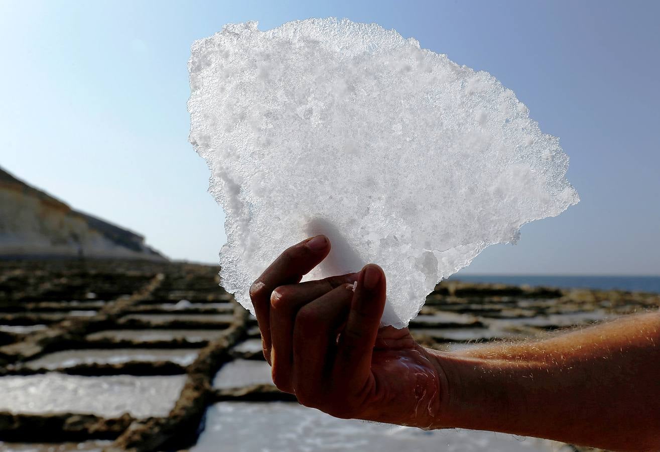 Zebbug, en la isla de Gozo, en Malta, es una pequeña localidad famosa por sus finos encajes; por los olivos, que le dieron el nombre, y por la sal. A ella se dedican numerosos habitantes que, como Josephine Xuereb y Rosa Cini (en las fotos), la tratan y almacenan en salinas excavadas en roca y en paneles de evaporación, que se extienden a lo largo de la costa, de la misma forma que hicieron otras generaciones desde hace más de 350 años. 