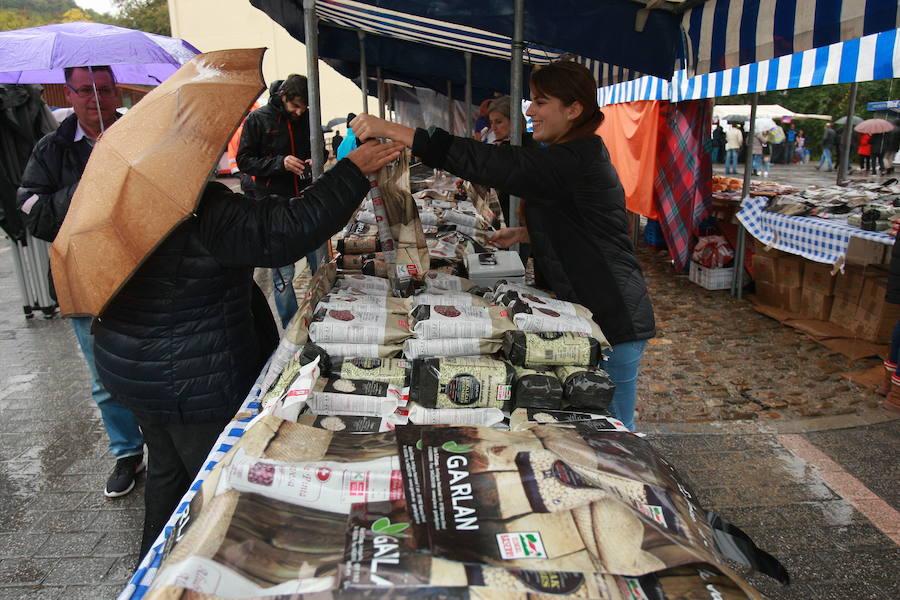 Fotos: Cientos de visitantes rinden culto a la sabrosa pinta alavesa en Pobes