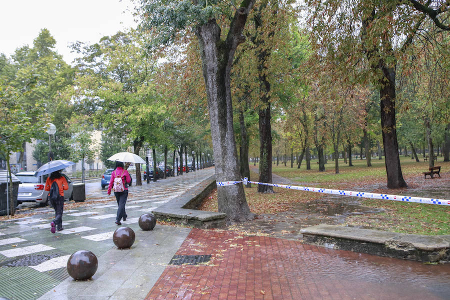 Fotos: Viento, lluvia intensa y balsas de agua en este domingo en Vitoria