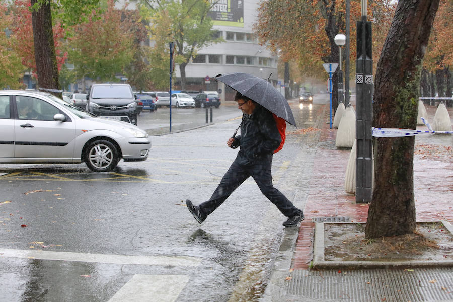 Fotos: Viento, lluvia intensa y balsas de agua en este domingo en Vitoria