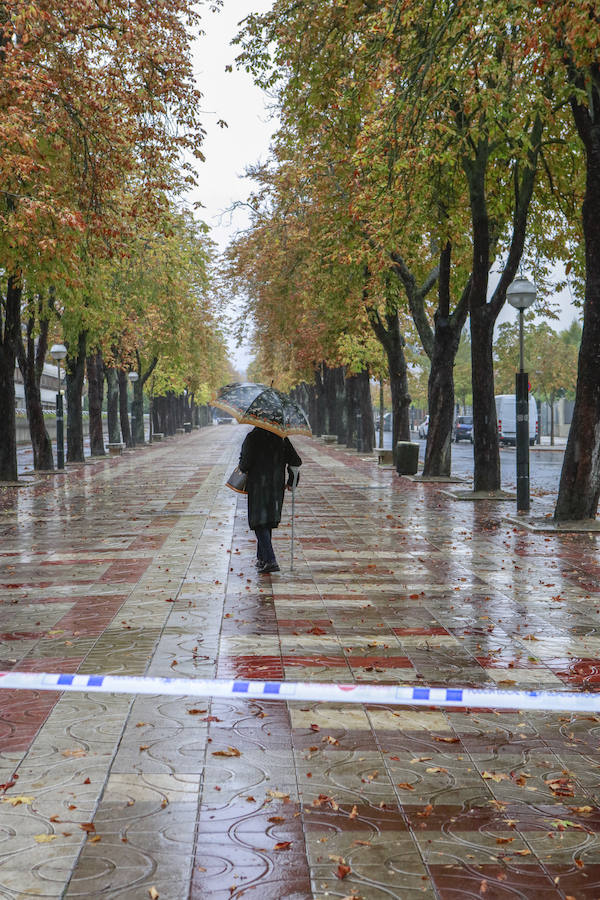 Fotos: Viento, lluvia intensa y balsas de agua en este domingo en Vitoria