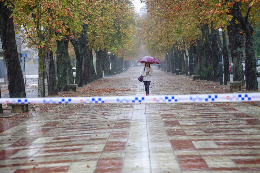 Fotos: Viento, lluvia intensa y balsas de agua en este domingo en Vitoria