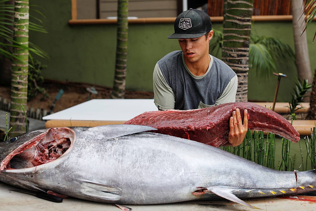 A principios de septiembre, Ryder Devoe, de 19 años, emergió de las azules aguas de San Diego con su neopreno de camuflaje, gritando: «lo atrapé». Un hermoso ejemplar de atún rojo de más de 90 kilos, una especie que apenas se veía en las costas californianas desde hacía décadas, había sido alcanzado por su arpón. Devoe, a quien además del buceo libre también apasiona el surf, se siente feliz. «Este año mi objetivo es cabalgar las olas más grandes de México y capturar otro atún de aleta amarilla.»