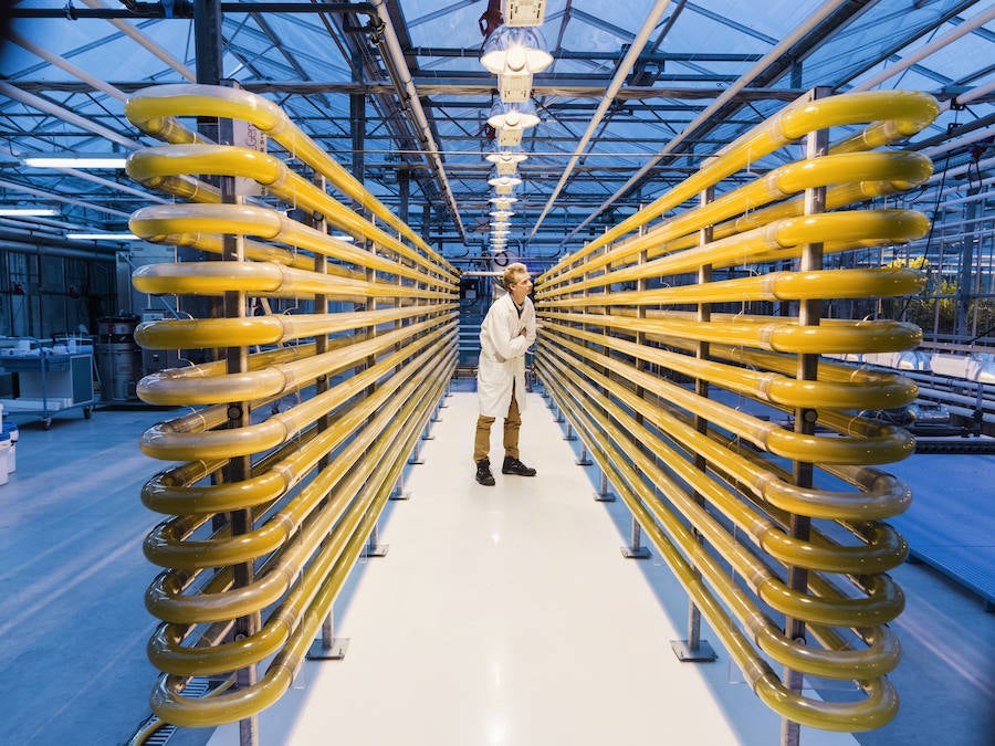 La exposición lleva a Montehermoso los mejores trabajos del fotoperiodismo internacional