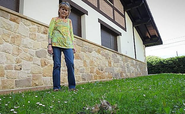 Trozos del buitre que cayeron sobre una vivienda de Zamudio.