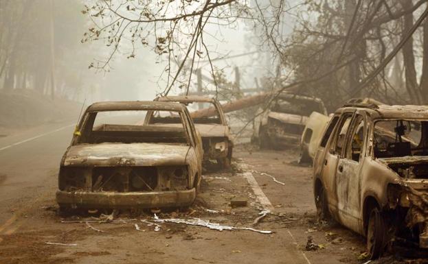 El incendio trae consigo imágenes desoladoras.