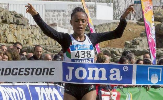 Gebre en el cross de Mérida cuando consiguió su cuarto campeonato de España