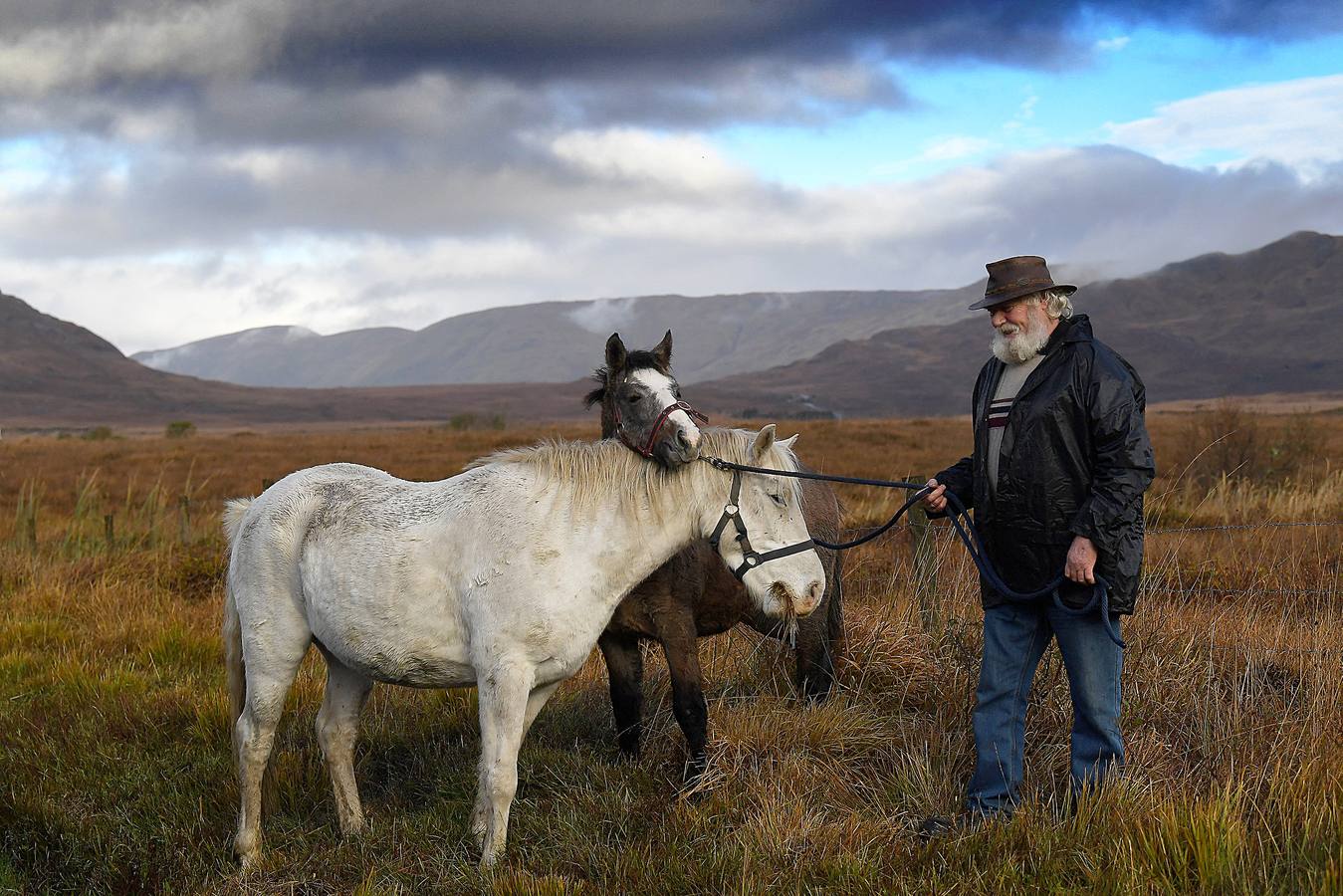 Maam Cross es una encrucijada en Connemara, condado de Galway, Irlanda. En ella se desarrolla una de las ferias agrícolas y de ganado más tradicionales en la que los granjeros locales venden los excedentes de producción para complementar sus exiguos ingresos. Este año premiará al mejor de los populares ponis de Connemara y quienes asistan podrán participar en el campeonato de lanzamiento de herradura. 