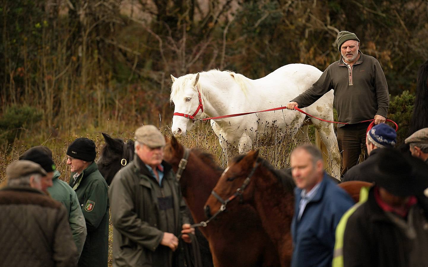 Maam Cross es una encrucijada en Connemara, condado de Galway, Irlanda. En ella se desarrolla una de las ferias agrícolas y de ganado más tradicionales en la que los granjeros locales venden los excedentes de producción para complementar sus exiguos ingresos. Este año premiará al mejor de los populares ponis de Connemara y quienes asistan podrán participar en el campeonato de lanzamiento de herradura. 