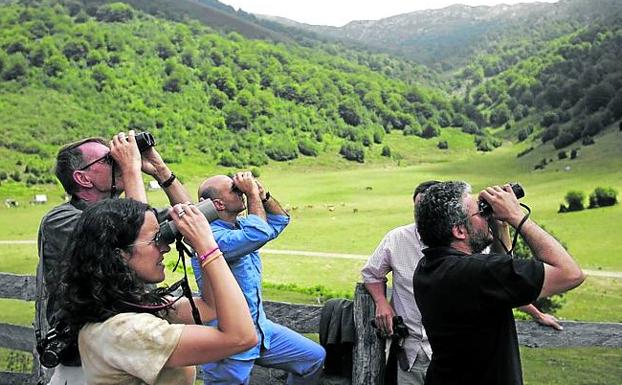 Imagen principal - Un grupo de visitantes otea el cielo en busca de rapaces. Abajo, una cabaña de pastores y ganado en la braña.