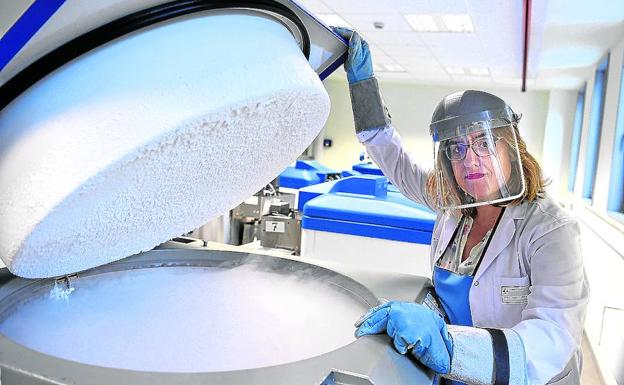 La bioquímica Cristina Eguizabal junto a un tanque de nitrógeno líquido, donde se conservan tejidos a -196ºC. 