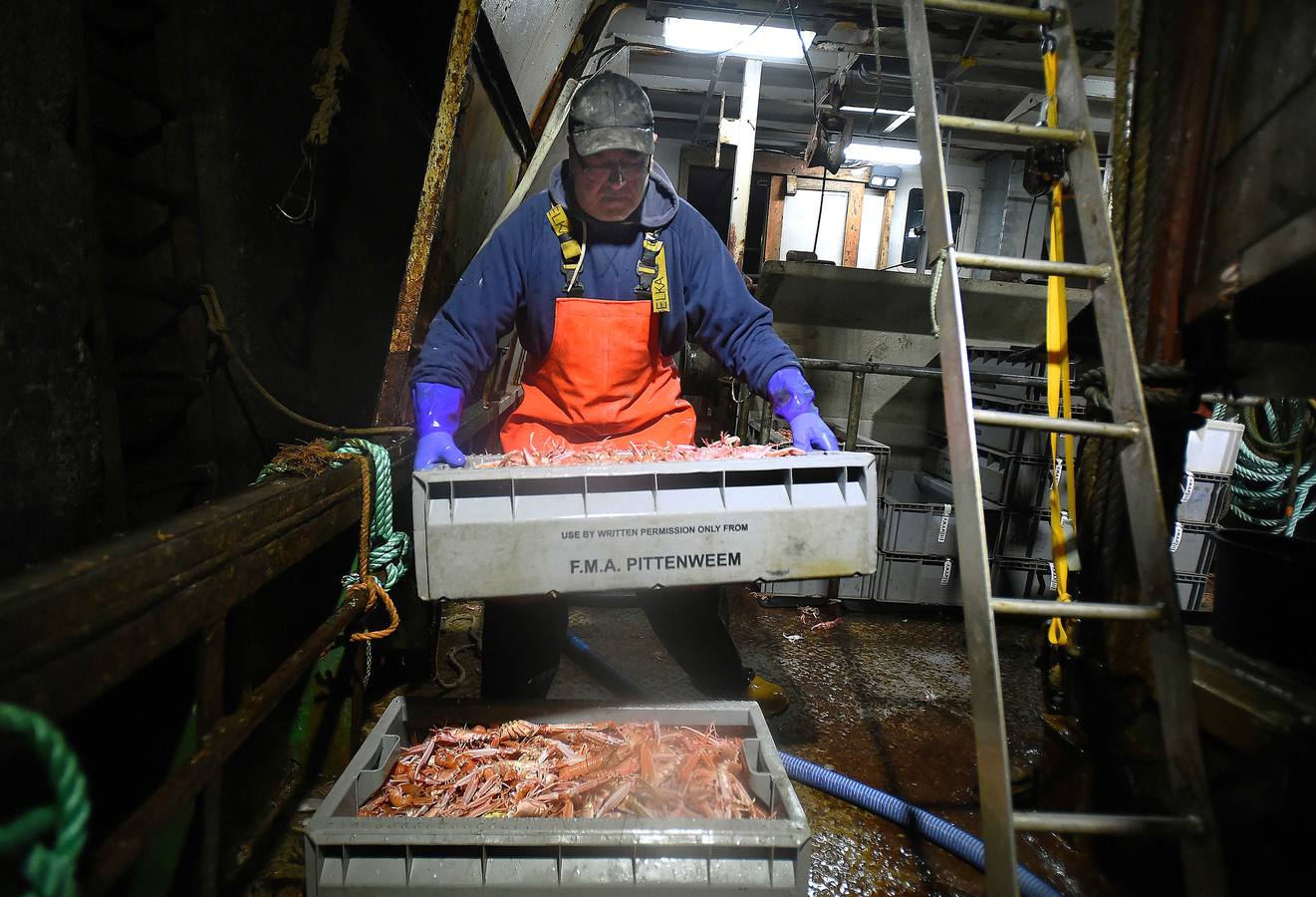 Los pescadores de Pittenweem, un pequeño pueblo costero en el sureste de Escocia, esperaban retomar el control de la pesca en sus aguas gracias al Brexit. Pero las divisiones políticas que agitan al gobierno y al parlamento británico empiezan a hacerles dudar. «Quiero que salgamos, si es posible mañana; nuestras aguas son para nuestros propios peces», dice un pescador septuagenario, que recuerda los días anteriores a la entrada de Reino Unido en la UE, en 1973. En las imágenes el arrastrero 'Scotia Star' faena en las costas escocesas