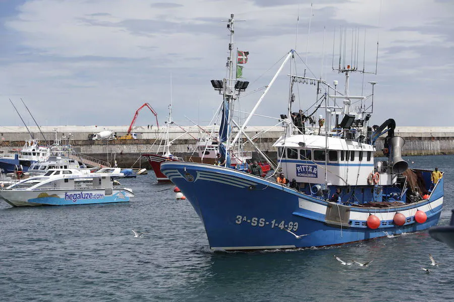 Pesquero en Bermeo. 