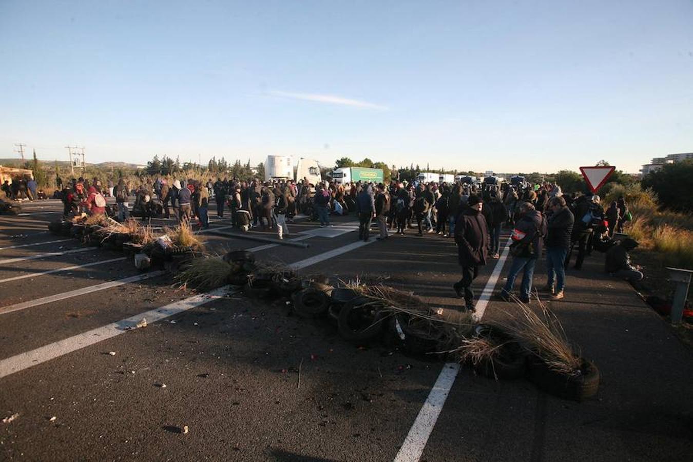 El presidente del Gobierno, Pedro Sánchez, preside este viernes el Consejo de Ministros en la Llotja de Mar de Barcelona. La ciudad condal vive una jornada de concentraciones y protestas de la mano de los CDR.