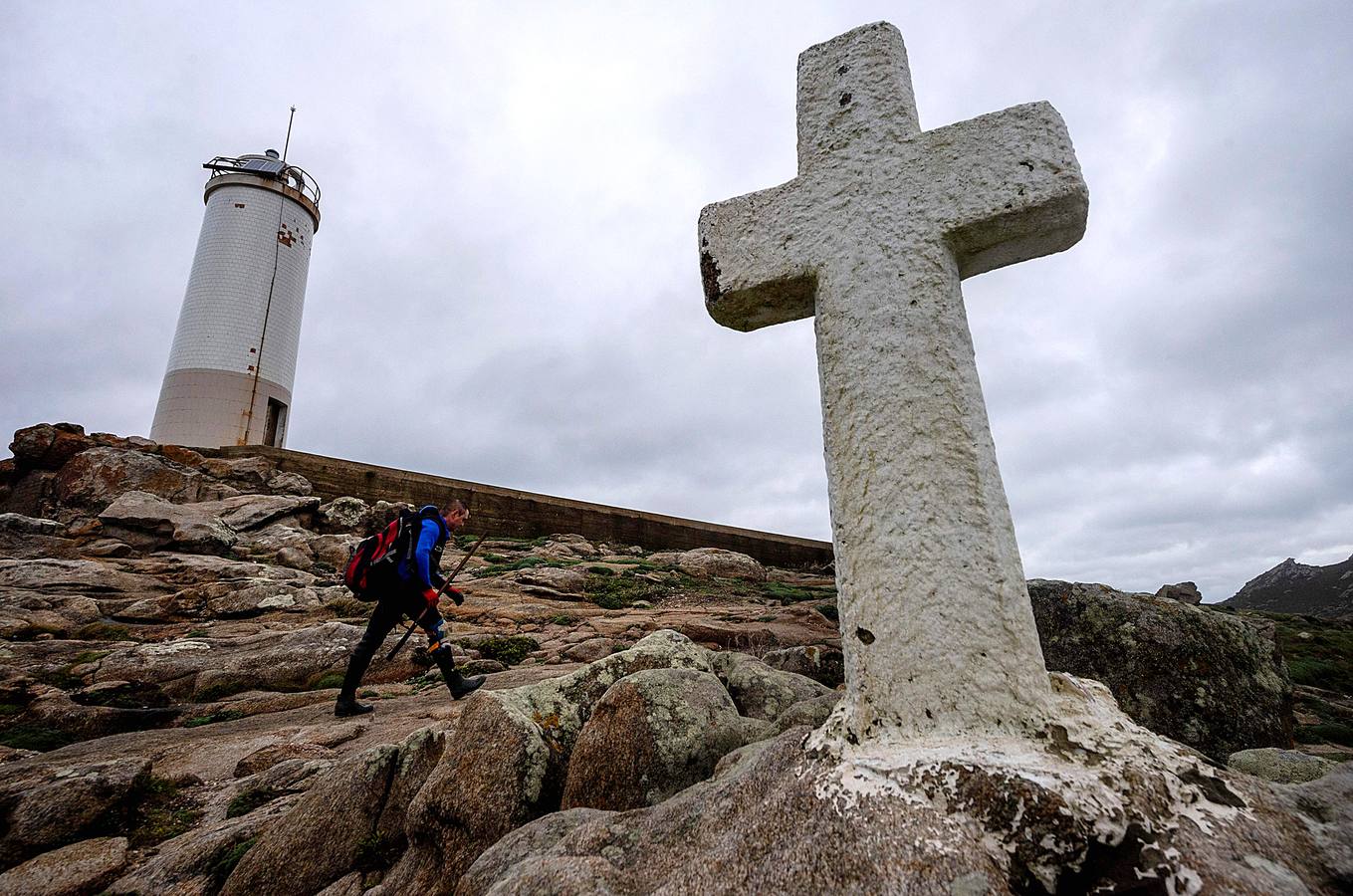 Tal vez sean las rocas o la bravura del mar. Los percebes de cabo Roncudo, en la llamada Costa de la Muerte, son los mejores del mundo. Y también los más caros. Los percebeiros arriesgan sus vidas encaramándose a las rocas cubiertas de lapas y minchas, entre el rugido de heladas olas batiendo los acantilados. Solo les está permitido faenar tres horas al día: dos horas antes de la bajamar y una después. En invierno se pueden capturar hasta cinco o seis kilos de percebes al día.