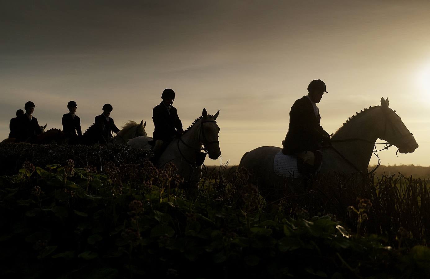 A diferencia de lo que sucede en Gran Bretaña, que mantiene la prohibición desde 2005, la caza del zorro es una actividad legal en los campos de Irlanda (en las fotografías vemos una partida en Kells, al norte de Dublín), y en las fechas navideñas esta tradición se mantiene tal como la practicaban nobles y terratenientes tiempo atrás. La elegancia es obligada tanto para caballos como para jinetes. Guarnicionería pulida, botas lustradas y sombrero y chaquetas rojas o negras, son tan habituales como las crines trenzadas.