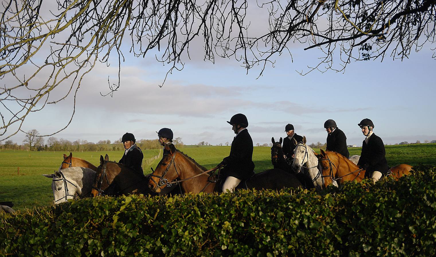 A diferencia de lo que sucede en Gran Bretaña, que mantiene la prohibición desde 2005, la caza del zorro es una actividad legal en los campos de Irlanda (en las fotografías vemos una partida en Kells, al norte de Dublín), y en las fechas navideñas esta tradición se mantiene tal como la practicaban nobles y terratenientes tiempo atrás. La elegancia es obligada tanto para caballos como para jinetes. Guarnicionería pulida, botas lustradas y sombrero y chaquetas rojas o negras, son tan habituales como las crines trenzadas.