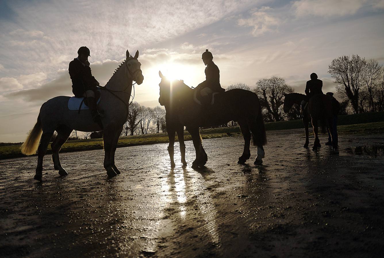 A diferencia de lo que sucede en Gran Bretaña, que mantiene la prohibición desde 2005, la caza del zorro es una actividad legal en los campos de Irlanda (en las fotografías vemos una partida en Kells, al norte de Dublín), y en las fechas navideñas esta tradición se mantiene tal como la practicaban nobles y terratenientes tiempo atrás. La elegancia es obligada tanto para caballos como para jinetes. Guarnicionería pulida, botas lustradas y sombrero y chaquetas rojas o negras, son tan habituales como las crines trenzadas.