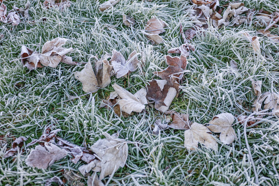 Los termómetros han marcado este viernes -8,5º en Ozaeta; -8,0º en Pagoeta y -7,2º en Abetxuko. La alerta por heladas y temperaturas mínimas se mantiene el fin de semana