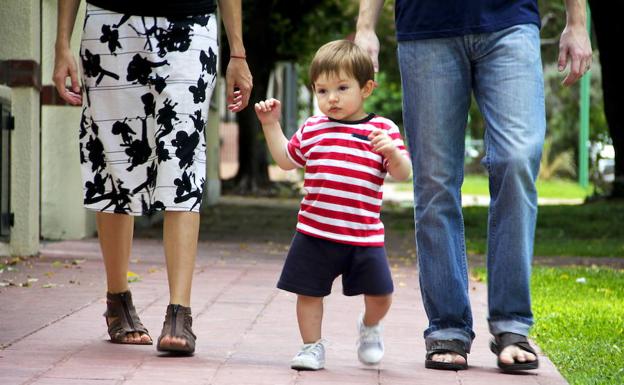 El Parlamento vasco debatirá la posiblidad de modificar la Ley de Relaciones Familiares. 