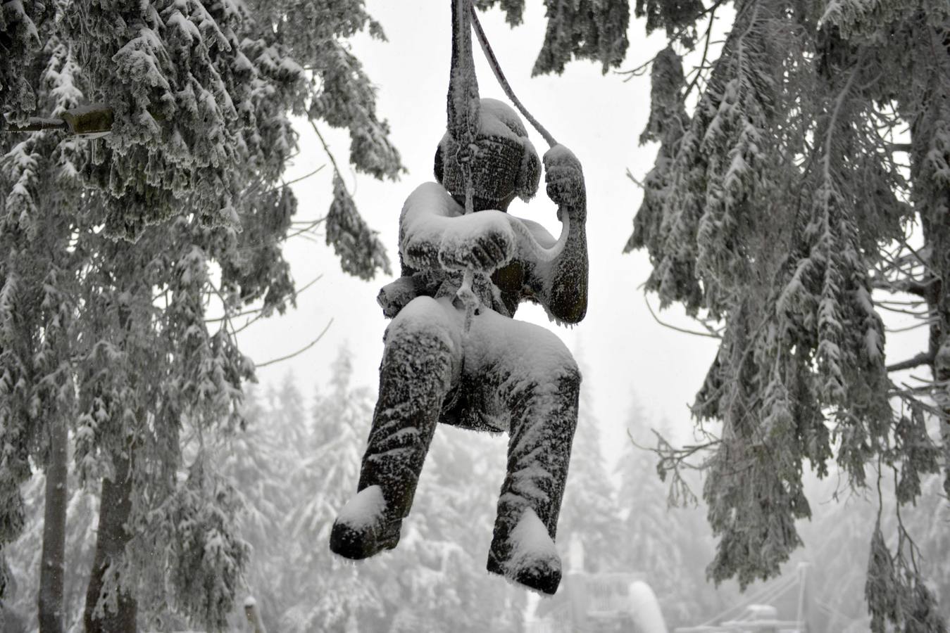 Fotos: Fuertes nevadas en el sur de Alemania y Austria