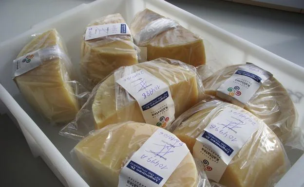 Varias muestras de queso Idiazabal preparadas para ser analizadas