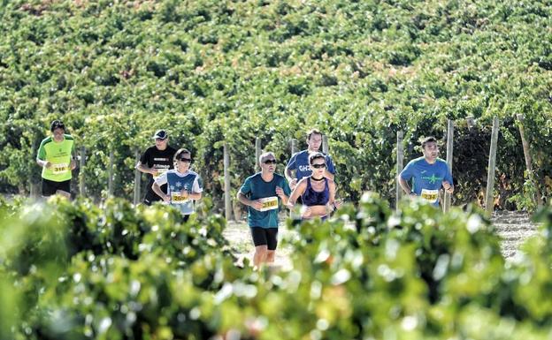 Algunas carreras unen en Rioja Alavesa dos sectores importantes en Álava, el deporte y el vino.