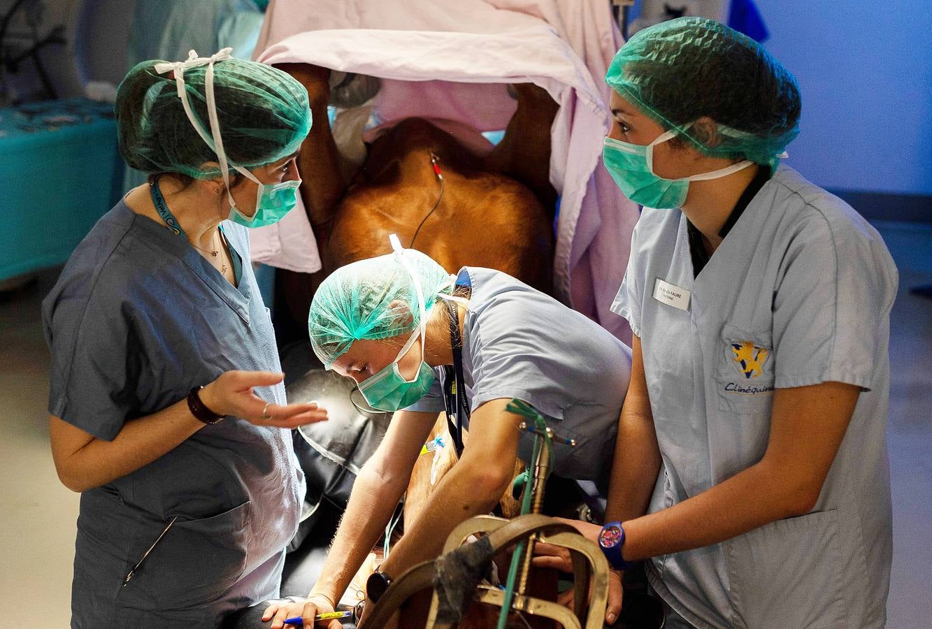 Cada año son hospitalizados unos 1.500 caballos en esta clínica creada en 1998, en Marcy-L'Etoile, cerca de Lyon. Los numerosos clientes de Clinequine, un centro-escuela veterinaria especializada en equinos, proceden de diferentes países, sobre todo de Suiza, Italia y España, y tiene pacientes muy diversos. Hay ejemplares de salto y de carreras que valen más de cuatro millones de euros, pero también atienden a burros y equinos de carga. Este año incluso han recibido un oso del zoo de Lyon. 