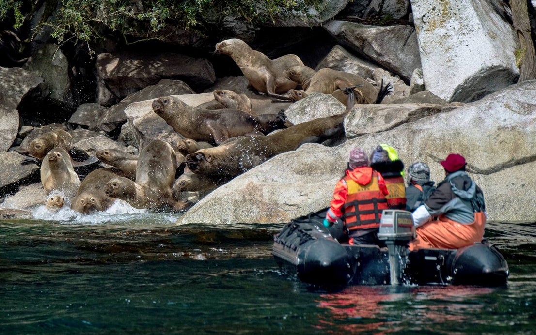 El fiordo Seno Ballena, en la región de Magallanes, al sur de Chile, es un verdadero laboratorio natural, único en el mundo. Un grupo de científicos analiza las características de sus aguas en estas fechas invernales con el objeto de conocer con detalle los efectos del cambio climático sobre diferentes organismos marinos. En las imágenes vemos el glaciar de Santa Inés y la isla de Carlos III, en Punta Arenas.