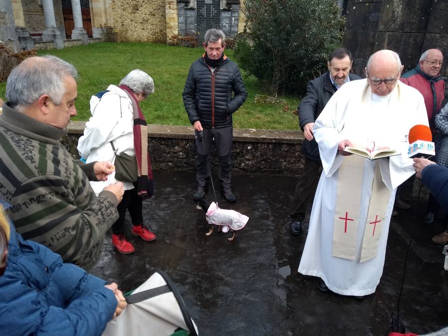 A pesar del frío, han sido muchos los que se han acercado este 17 de enero al alto de Urkiola, en busca de la bendición del patrón de los animales