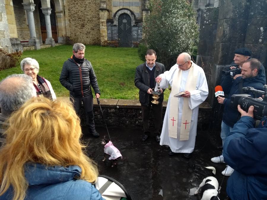 A pesar del frío, han sido muchos los que se han acercado este 17 de enero al alto de Urkiola, en busca de la bendición del patrón de los animales